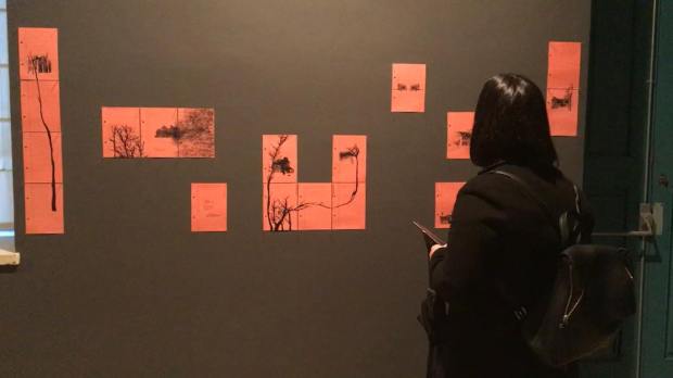 56177079_2330098643708985_5666473687893671936_o